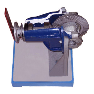 Demonstration Differential Gear