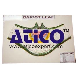 Dicot Leaf Ts