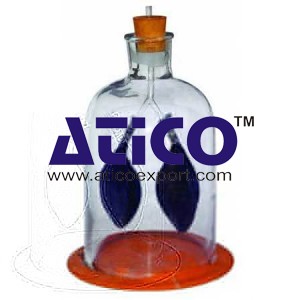 Lung Demonstration Apparatus