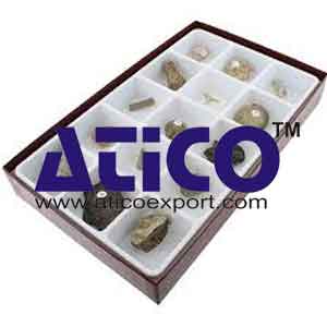 General Fossil Collection Manufacturer Supplier India