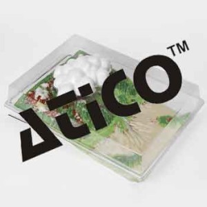 Water Cycle Model Activity Set