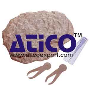 Variation And Evolution Fossil Kit Manufacturer Supplier India