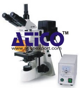 Fluorescence Microscopes