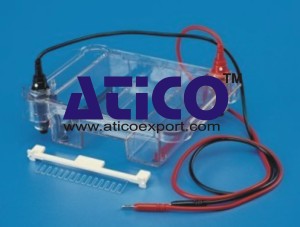 Midi Submarine Gel Electrophoresis Unit