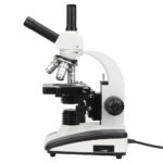 Binocular Compound Microscope